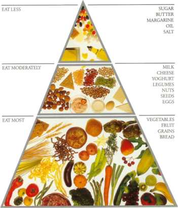 FOOD GUIDE PYRAMID –